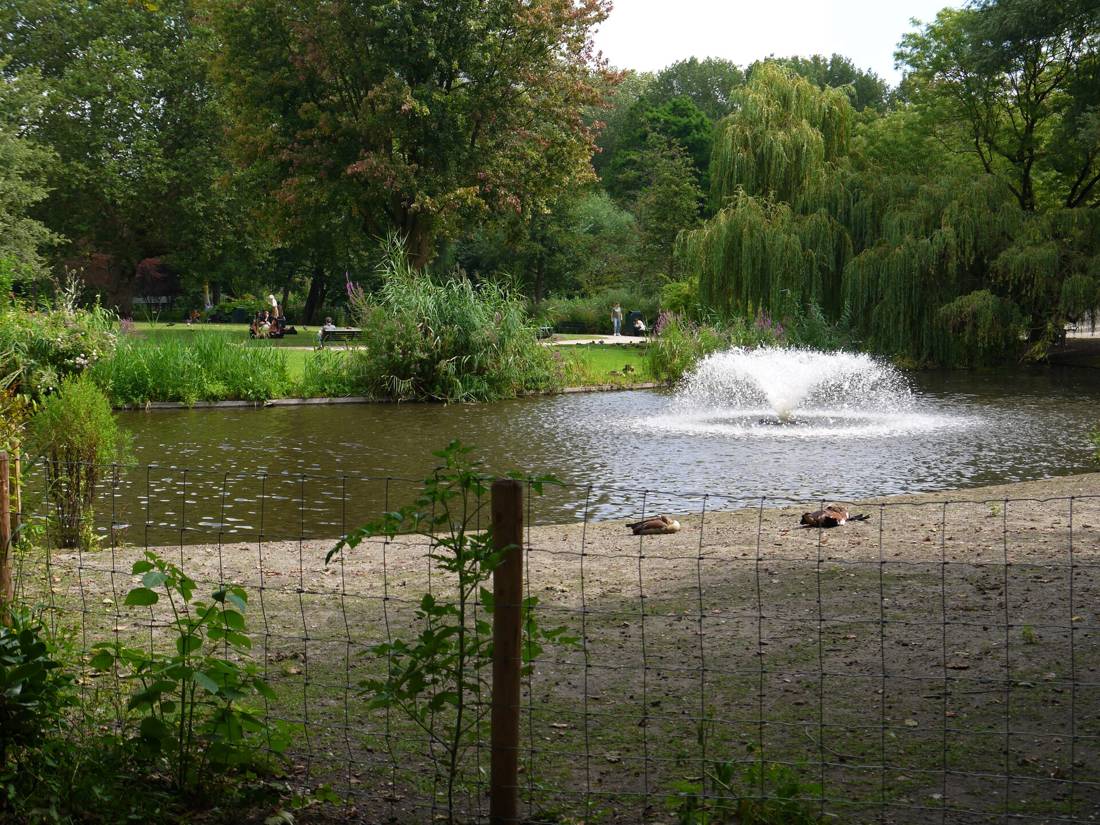 Sarphatipark'ta havuz