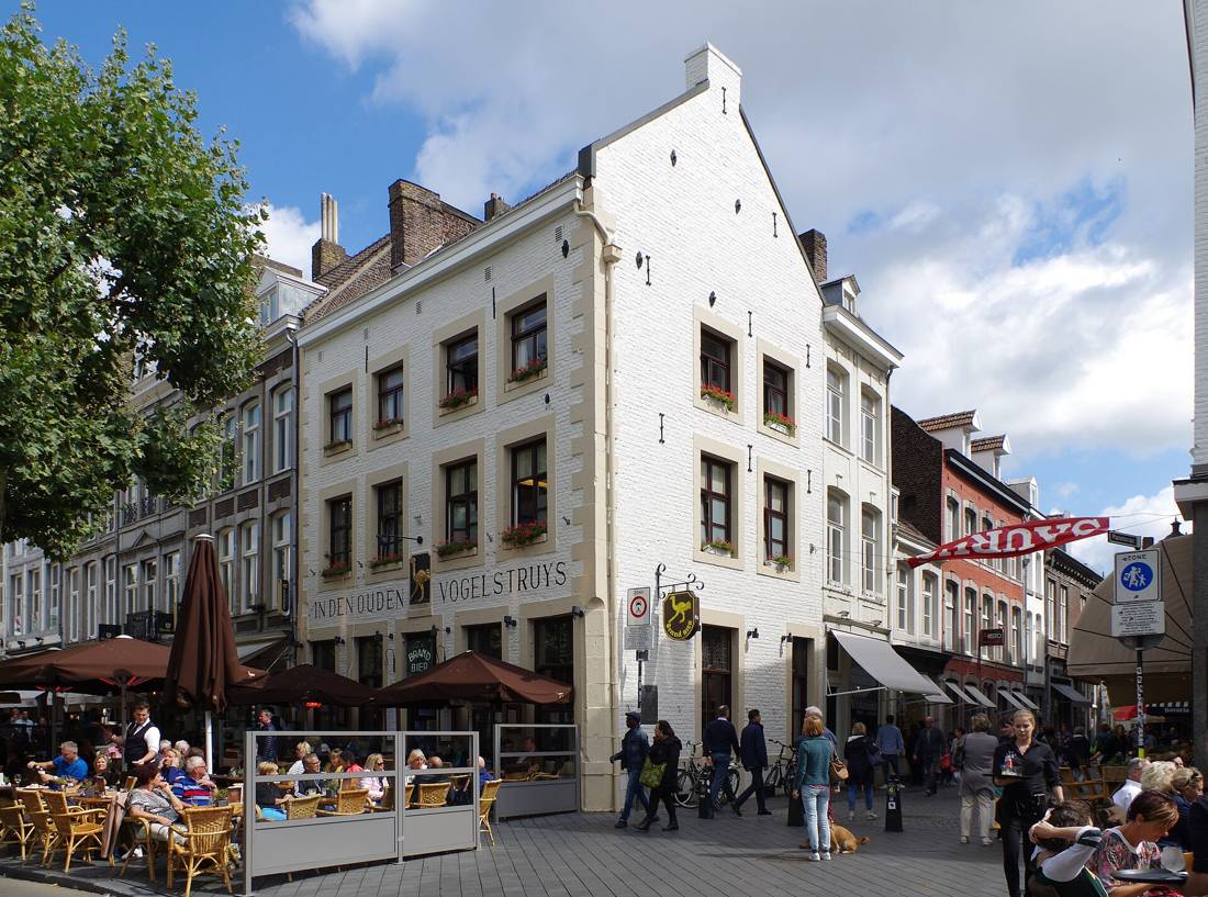 Vrijthof meydani ve teraslar