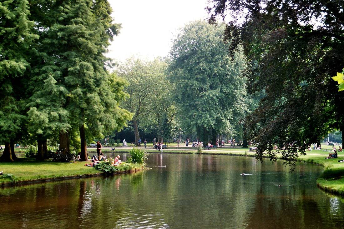 Vondelpark'ta gol ve agaclar