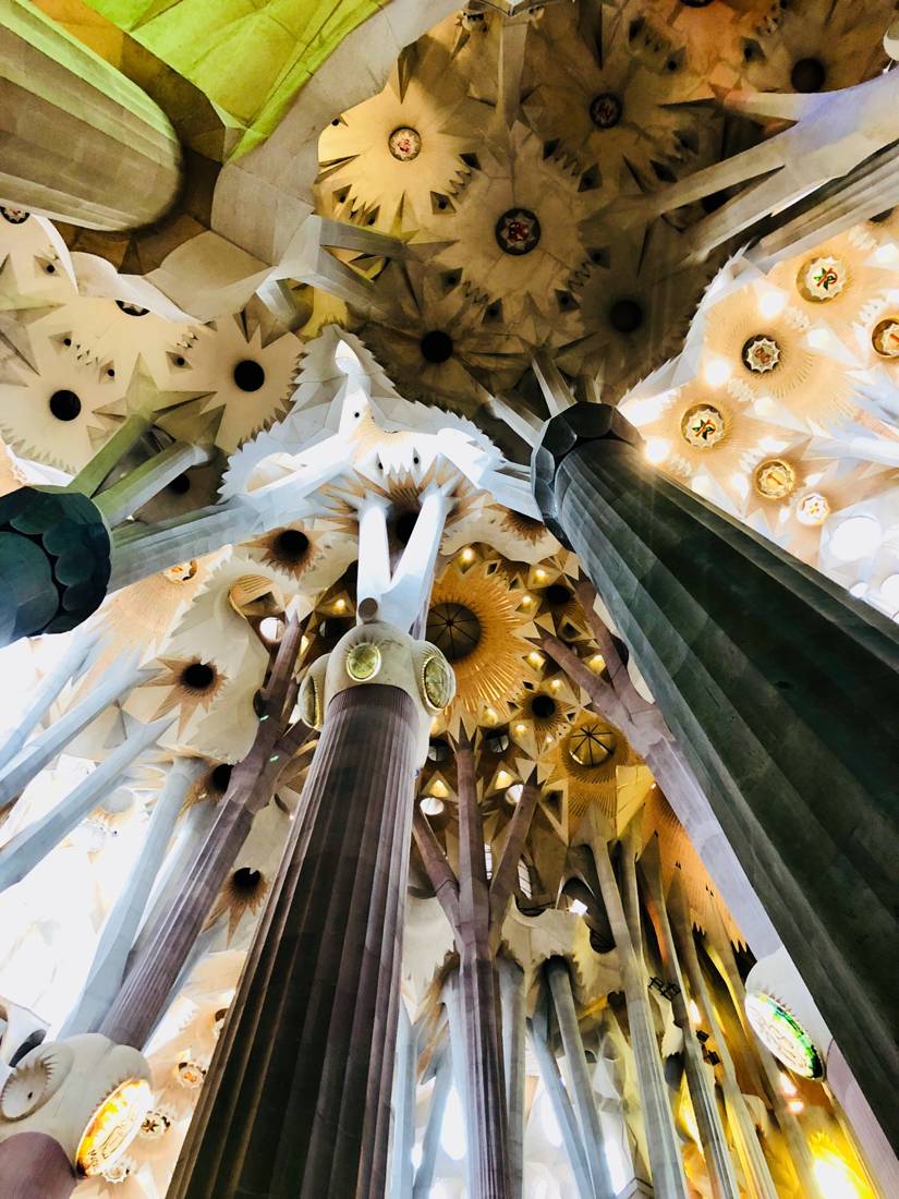 Sagrada Família'nın içindeki ağaç biçimli sütunlar