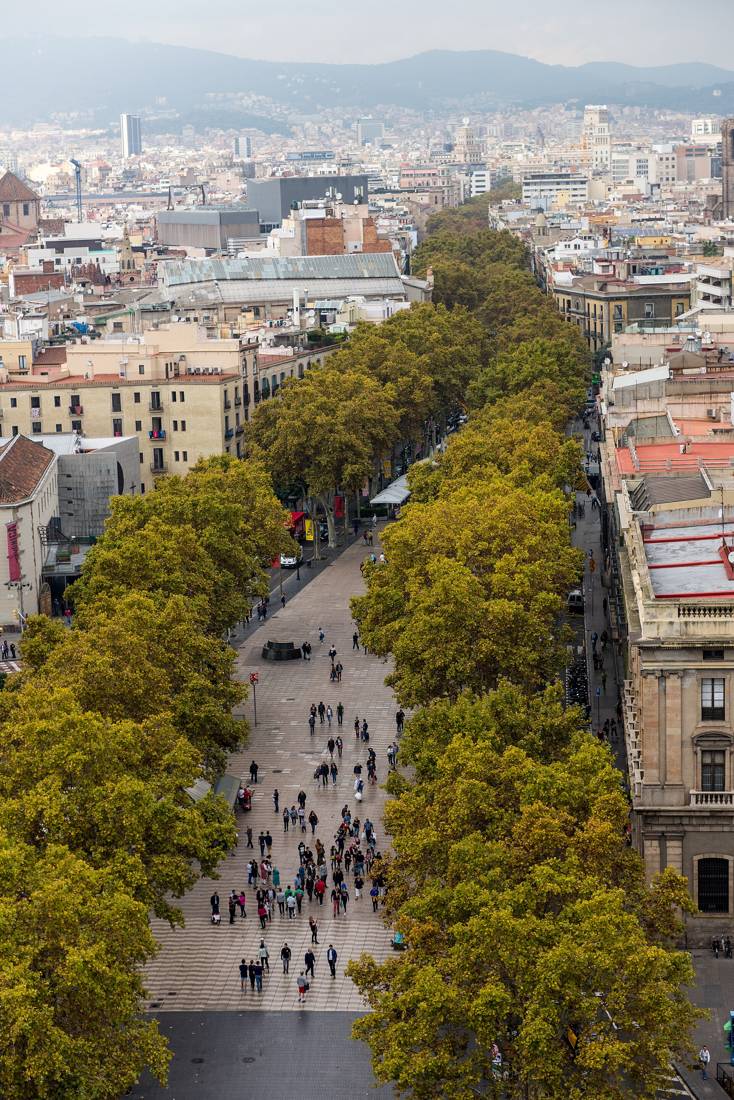 La Rambla'nın ağaçlı orta şeridi yukarıdan