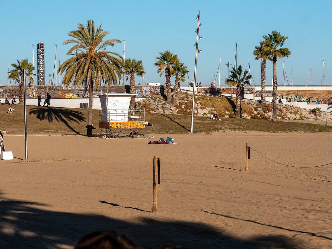 Barceloneta Plajı'nda kum ve palmiyeler