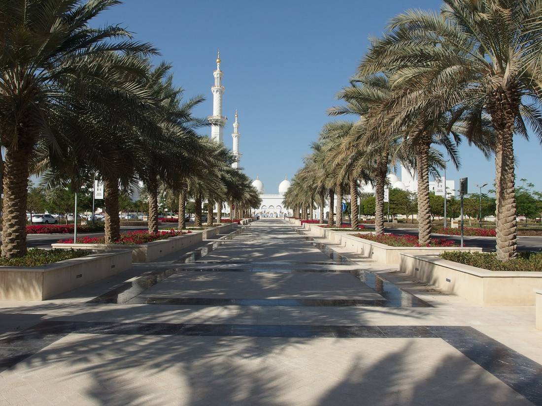 Şeyh Zayed Ulu Camii'ne giden palmiyeli yol