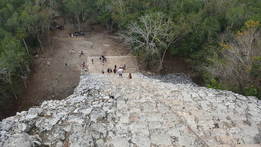 Cobá'da orman ve harabeler