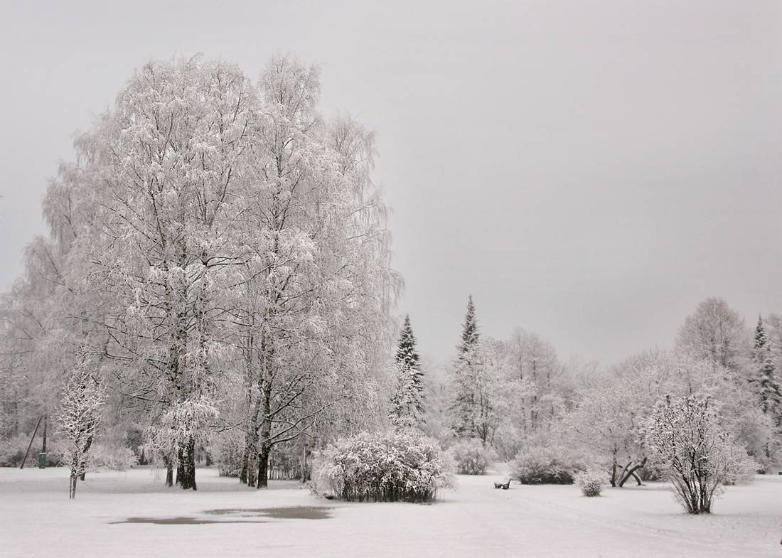 Karla kaplı Peterhof parkı