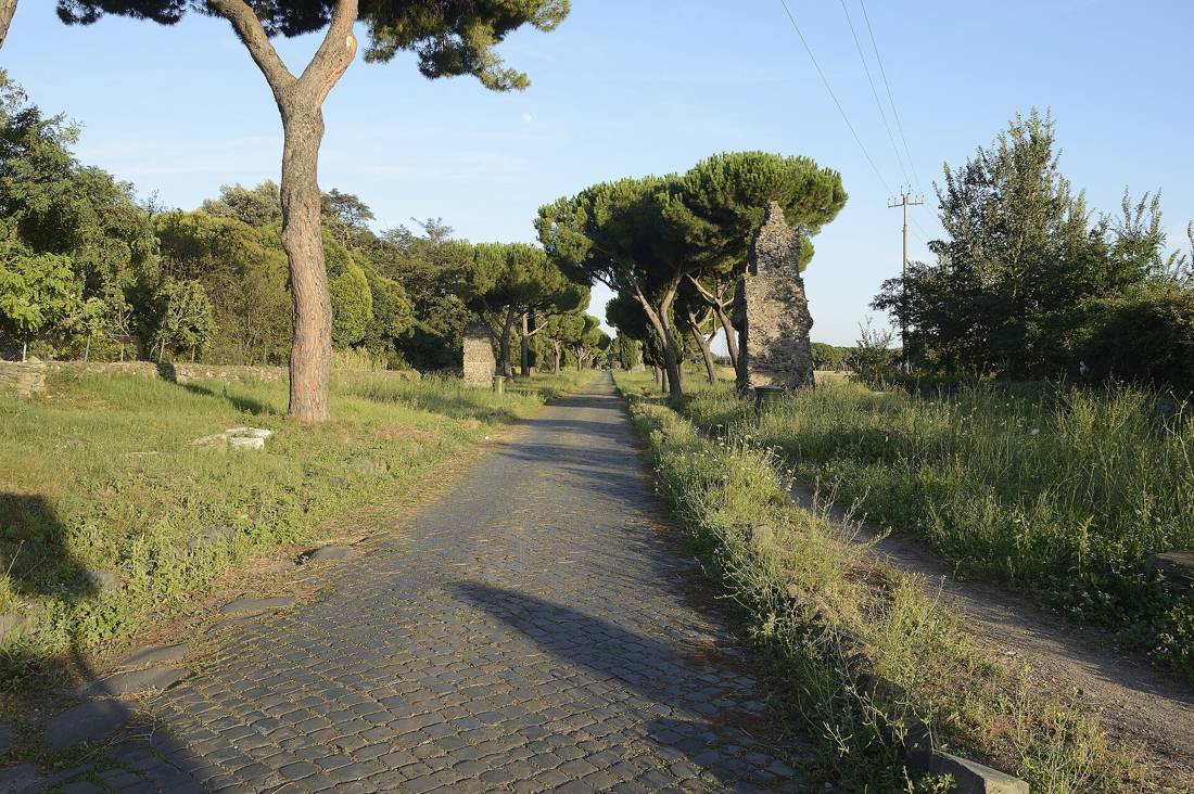 Via Appia boyunca servi ve çam ağaçları
