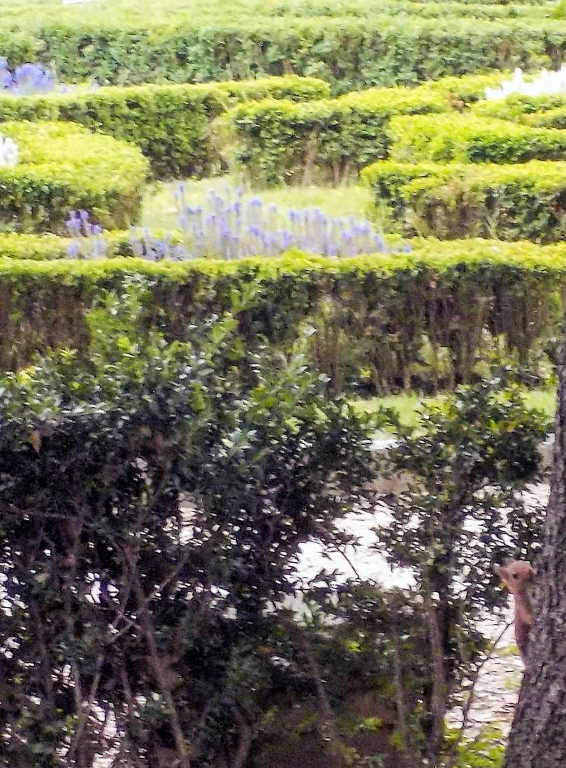 Villa Borghese Parkı'nda ağaçlar