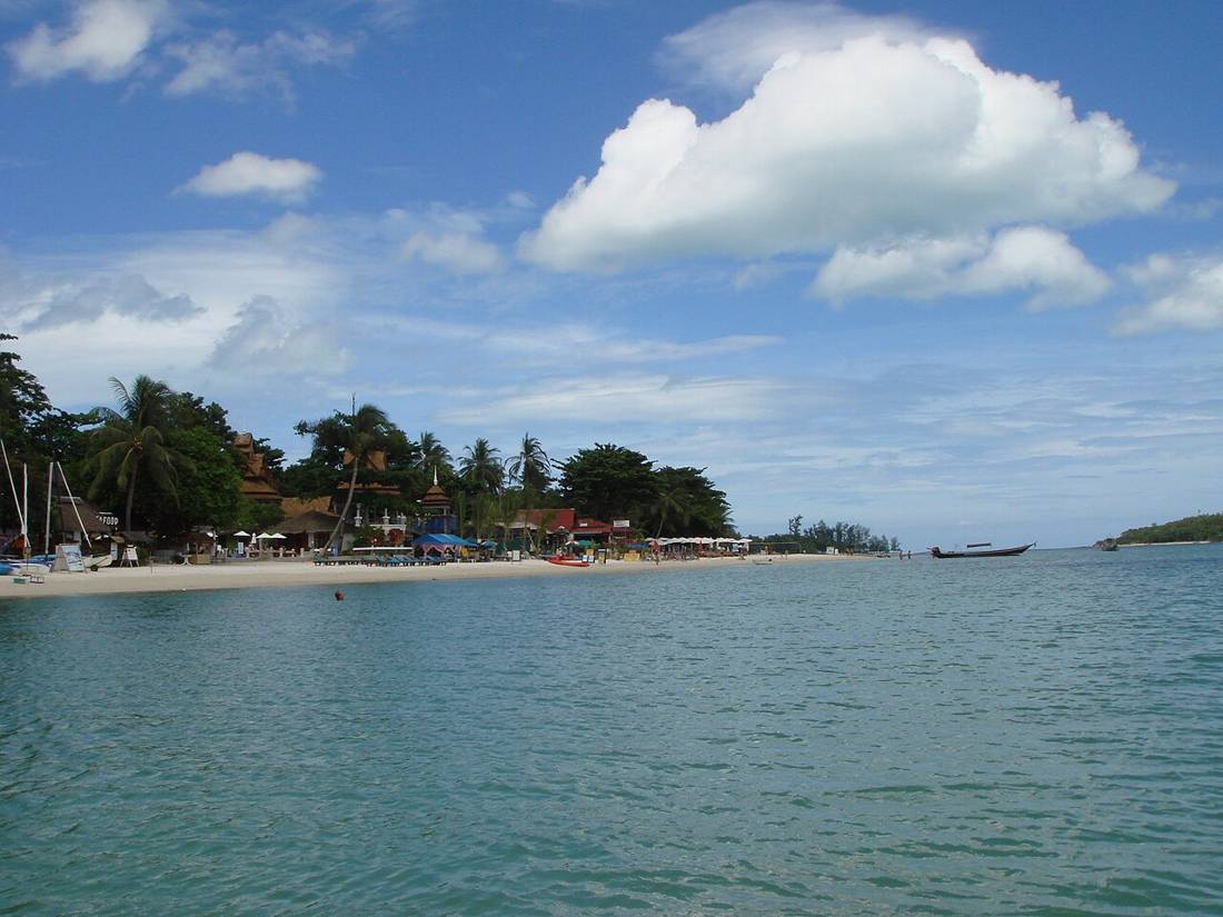 Koh Samui sahili ve palmiyeler