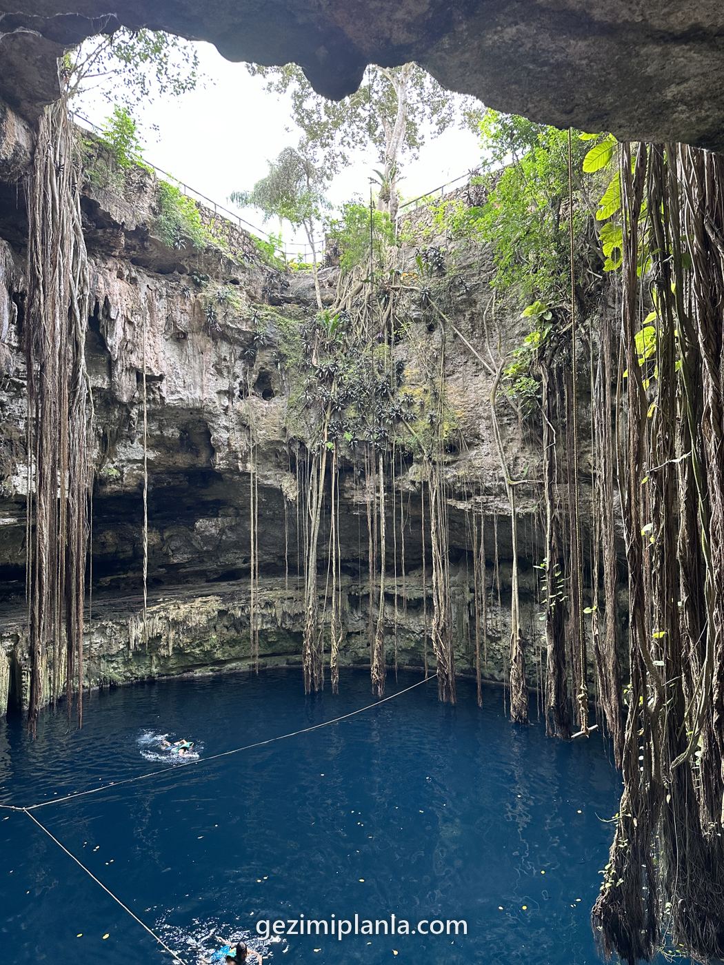 Valladolid yakınında sarkan kökleriyle cenote